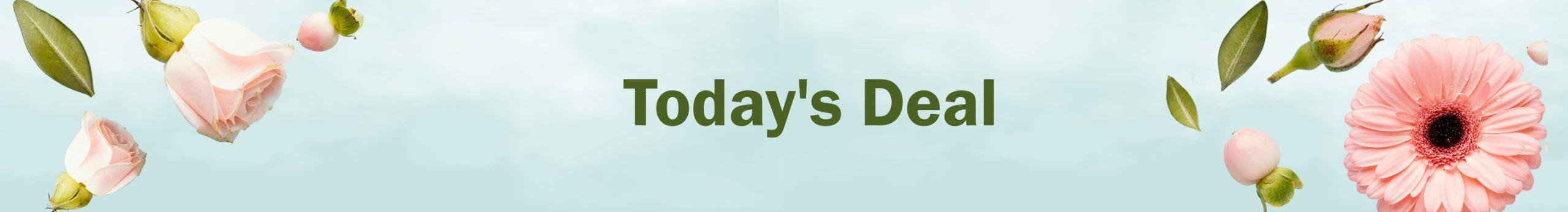 Flash sale on Korean skincare products in Bangladesh